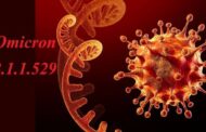 இலங்கையில் மேலும் 41 பேருக்கு ஒமிக்ரோன்