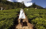 UN deeply concerned by widespread ‘slavery in Sri Lanka’