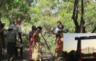 முள்ளிக்குளம் கடற்படை முகாமில் யானை தாக்கி கடற்படை சிப்பாய் மரணம்