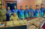 மன்னாரில் 16 கிலோ கேரள கஞ்சாவுடன் 2 நபர்கள் கைது.