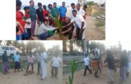 கிழக்கு மாகாணத்தின் மருதமுமனை கடற்கரையில் தென்னை மரங்களை நடும் நிகழ்வு