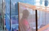 யாழ்ப்பாண மாவட்டத்தில் டெங்கு தொற்றுக்குள்ளான 114 பேர் சிகிச்சைக்காக அனுமதிப்பு - பணிப்பாளர் சத்தியமூர்த்தி தெரிவிப்பு
