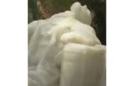 அமெரிக்காவில் கடும் வெயில் - முன்னள் அதிபர் ஆபிரகாம் லிங்கனின் மெழுகு சிலை உருகியது