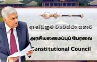 ஜனனத்தின் போதே அனாதையான இலங்கையின் அரசியலமைப்பு பேரவை  இப்போது பெற்றோருடன் சச்சரவிடுகிறது?