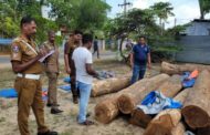 யாழ்ப்பாணம் - கொடிகாமம் பொலிஸ்  பகுதியில்  15 இலட்சம் ரூபாய் பெறுமதியான  தேக்க மரக்குற்றிகளை கடத்தி சென்ற இருவர் கைது!