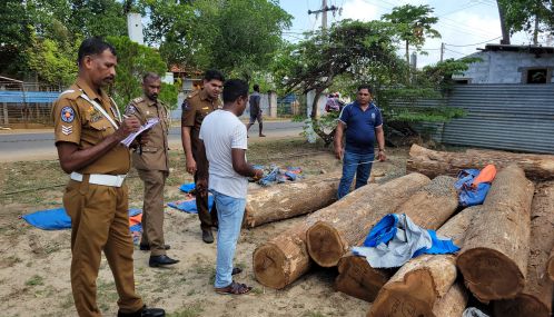 யாழ்ப்பாணம் - கொடிகாமம் பொலிஸ்  பகுதியில்  15 இலட்சம் ரூபாய் பெறுமதியான  தேக்க மரக்குற்றிகளை கடத்தி சென்ற இருவர் கைது!