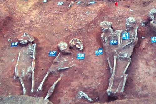 Colombo mass graves: Budget estimates submitted for further digging