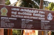 பனை அபிவிருத்திச் சபை நியமனம் தொடர்பில் ட்ரான்ஸ்பேரன்சி இன்டர்நெஷனல்  கேள்வி எழுப்பியுள்ளது.