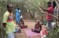 Jungle life for Tamils and royal life for military on occupied lands