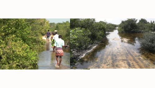 யாழ்ப்பாணம் - வடமராட்சி கிழக்கு ஆழியவளையில் இரவோடு இரவாக இடம்பெறும் பாரிய மணல் கொள்ளை