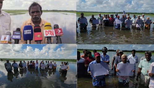 யாழ்ப்பாணத்தில் தென்மராட்சி விவசாயிகள் வயலில் இறங்கி போராட்டம்!