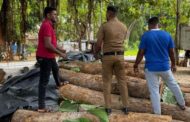 சட்டவிரோதமாக தேக்கம் மர குற்றிகளை எடுத்து வந்த சந்தேகநபர் சாவகச்சேரியில் கைது!