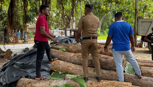 சட்டவிரோதமாக தேக்கம் மர குற்றிகளை எடுத்து வந்த சந்தேகநபர் சாவகச்சேரியில் கைது!