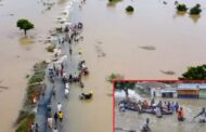 நைஜீரியா: கனமழை, வெள்ளத்திற்கு 700 பேர் பலி?