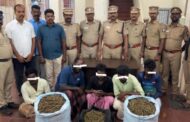 இலங்கைக்கு கடத்துவதற்காக ராமேஸ்வரம் கடற்கரையில்  பதுக்கி வைக்கப்பட்டிருந்த ரூ.10 லட்சம் மதிப்பிலான  கஞ்சா மீட்பு-6 பேர் கைது
