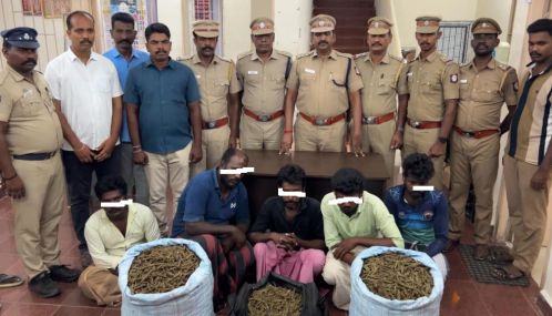 இலங்கைக்கு கடத்துவதற்காக ராமேஸ்வரம் கடற்கரையில்  பதுக்கி வைக்கப்பட்டிருந்த ரூ.10 லட்சம் மதிப்பிலான  கஞ்சா மீட்பு-6 பேர் கைது