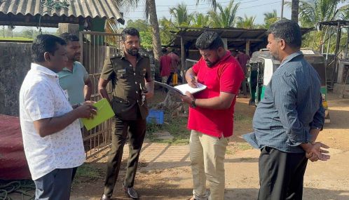 வவுனியா மாட்டுத்தொழுவத்தில் அனுமதியின்றி அதிகளவில் வெட்டப்படும் மாடுகள் - மாநகரசபை நியமித்த குழுவினரின் திடீர் விஜயத்தில் அம்பலம்