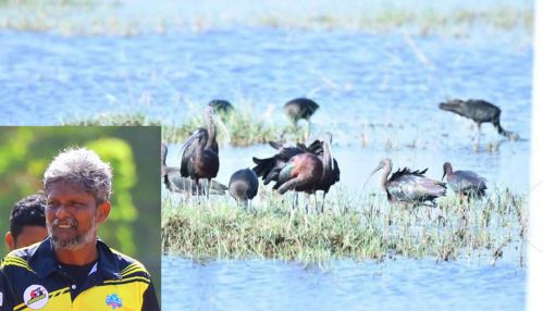 யாழ்ப்பாணத்தில்  முறையற்ற கழிவகற்றல்  உயிர் பல்வகமைக்கு ஆபத்து  விளைவிக்கும் என்கிறார்  யாழ்ப்பாண பல்கலைக்கழக பேராசிரியர் கணபதி கஜபதி!