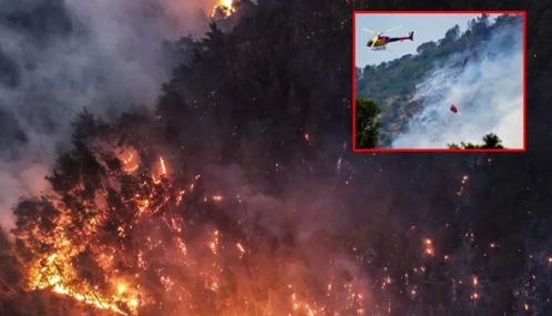 பிரான்சில் காட்டுத்தீ: 13 பேர் காயம்; 700 ஹெக்டேர் நிலப்பரப்பு எரிந்து சேதம்