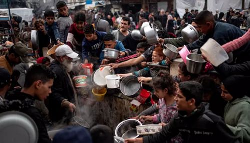 காசா: நிவாரண பொருள் விநியோகத்தின்போது சோகம் - கூட்ட நெரிசலில் சிக்கி 19 பேர் உயிரிழப்பு