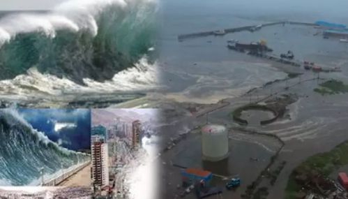 ரஷியா, சீனா, ஜப்பான், அமெரிக்கா நாடுகளுக்கு சுனாமி எச்சரிக்கை: மக்கள் அவசர அவசரமாக வெளியேற்றம்