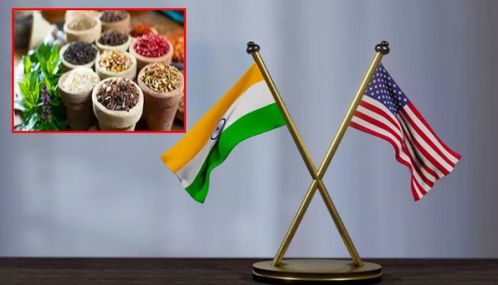 25 சதவீத கூடுதல் வரி பிறப்பித்த அமெரிக்கா; பிரதமர் மோடி கொடுத்த பதிலடி