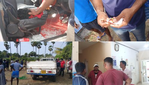 வேலணையில்  வளர்ப்பு கால்நடைகளை திருடி இறைச்சியாக்கி யாழ். நகருக்கு கொண்டு செல்ல முயன்ற கும்பல் வசமாக மாட்டியது