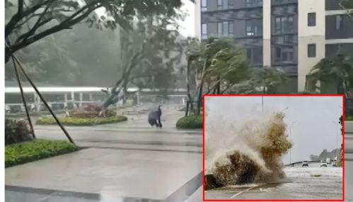 வியட்நாமை தாக்கிய கஜிகி புயல் - 3 லட்சம் பேர் பாதுகாப்பாக வெளியேற்றம்