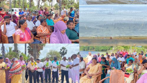 மாந்தை மேற்கில் ஓரங்கட்டப்பட்ட மக்களின் வாழ்வாதாரத்தை கட்டி எழுப்பும் நிகழ்ச்சித் திட்டம் முன்னெடுப்பு.