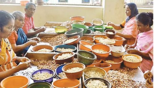 அமெரிக்கா 50 சதவீத வரி: ரூ.1,000 கோடி அளவுக்கு முந்திரி பருப்பு ஏற்றுமதி பாதிப்பு