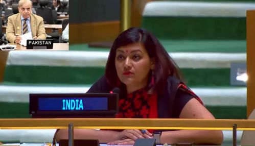 ஆபரேஷன் சிந்தூரின்போது தாக்குதலை நிறுத்துமாறு பாகிஸ்தான் ராணுவம் மன்றாடியது - இந்தியா