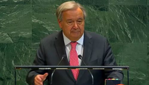 பாலஸ்தீனியர்களுக்கு நாடு என்பது உரிமை சார்ந்தது - ஐ.நா. அமைப்பு