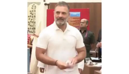 துணை அதிபர் தேர்தல் - வாக்களித்தார் ராகுல் காந்தி