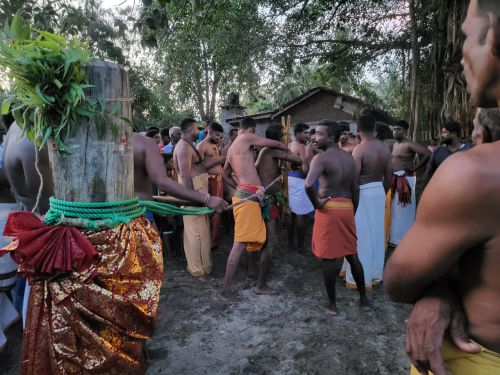 கிழக்கிலங்கையின் தம்பிலுவில் கோவலன் ஆலயத்தில் கொம்பு முறி விளையாட்டுக்கான  விசேட பூஜை--