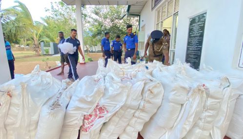 மன்னார் நறுவிலிக்குளம் பகுதியில் பல கோடி ரூபாய் பெறுமதியான 906 கிலோ கேரள கஞ்சாப் பொதிகள் மீட்பு.