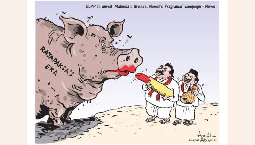 இலங்கை அரசியலில் ''மொட்டு'' மீண்டும் மலருமா?