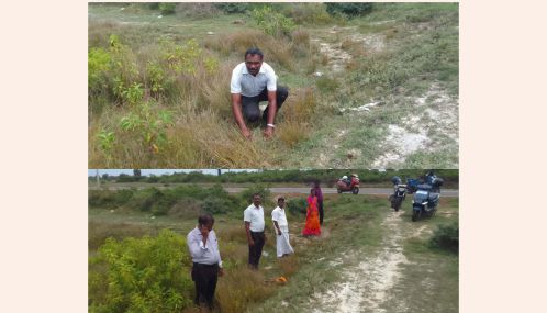 கரவெட்டியில் இடம்பெற்ற பனம் விதைகள் நடுகை வேலைத்திட்டம்!