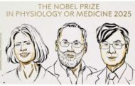 2025-ம் ஆண்டின் மருத்துவத்துக்கான நோபல் பரிசு 3 பேருக்கு அறிவிப்பு