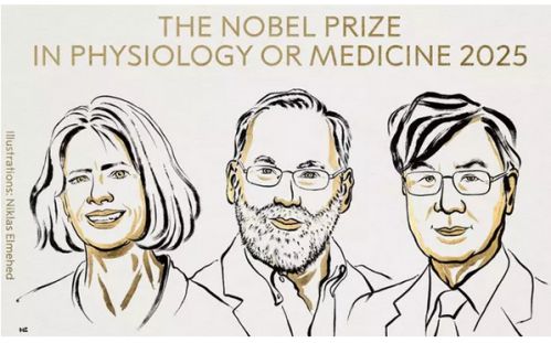 2025-ம் ஆண்டின் மருத்துவத்துக்கான நோபல் பரிசு 3 பேருக்கு அறிவிப்பு