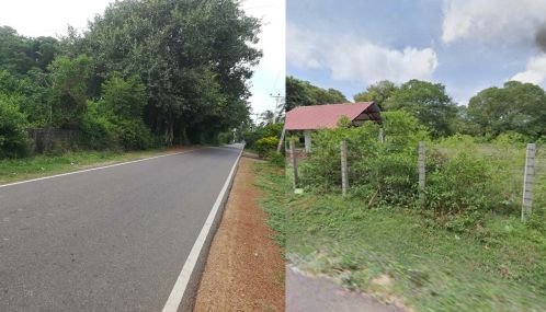 பற்றைக்காடாக காட்சியளிக்கும்  பண்டத்தரிப்பு வட்டார விளாவெளி இந்து மயானத்தை  விரைந்து துப்பரவு செய்யுயுமாறு கோரிக்கை!