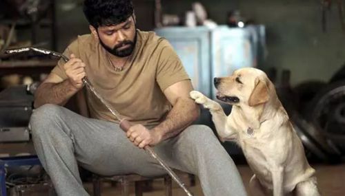 கர்நாடக அரசின் திரைப்பட விழாவில் 4 விருதுகளை வென்ற 