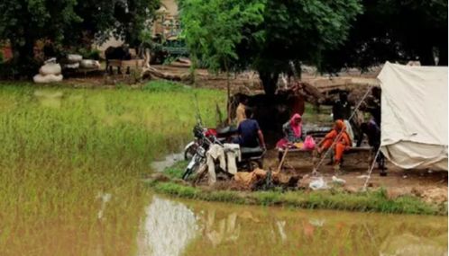 பாகிஸ்தானில் தொடர் மழை, வெள்ளம் - பலி எண்ணிக்கை 1006 ஆக உயர்வு