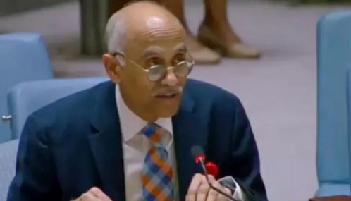 பாகிஸ்தான் இனப்படுகொலை செய்யும் நாடு - ஐ.நா. பாதுகாப்பு கவுன்சிலில் இந்தியா பதிலடி