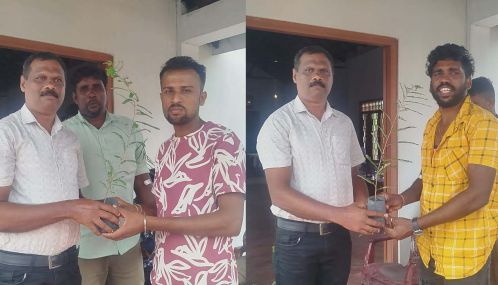 மாவீரர் தினத்தை முன்னிட்டு வடமராட்சி கிழக்கில் இடம்பெற்ற குருதிக் கொடையும் மரக்கன்று வழங்கலும்!