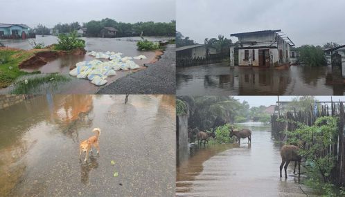 'மாங்கனித் தீவான இலங்கையின் அனைத்துப் பகுதியிலும் கடும் வெள்ளத்தினால்  அதிக உயிரிழப்புக்களும் சொத்துக்களிற்கான சேதங்களும்..!