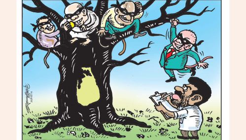 பெண், பதவி, தங்கம் ஆகியவற்றிற்காக  அநுரவிடம் மண்டியிடும் எம்.பி.க்கள்