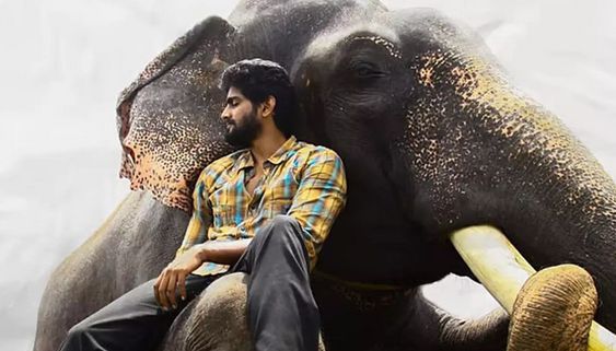 'கும்கி 2' படம் ஜன.3ம் தேதி ஓ.டி.டி.யில் வெளியாகிறது