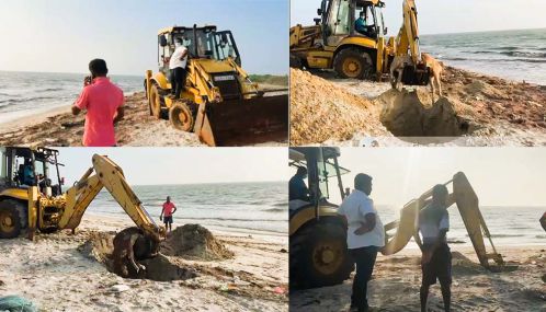 வெள்ளத்தில் அடித்துச் செல்லப்பட்ட ஒரு தொகை மாடுகள் உயிரிழந்த நிலையில் சௌத்பார் கடற்கரையில் கரை யொதுங்கின