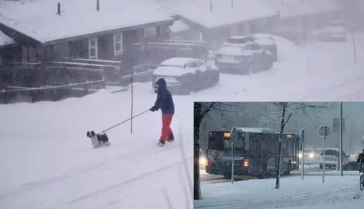 ஸ்வீடனில் பனிப்புயல் - 3 பேர் உயிரிழப்பு