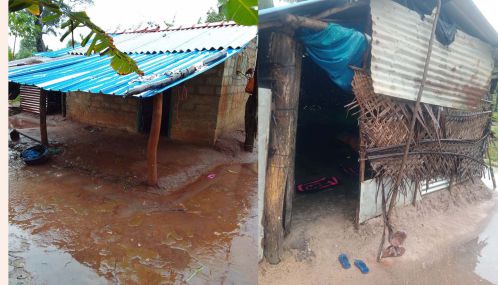 முல்லைத்தீவு உட்பட வன்னிப் பிரதேசத்தில் தொடரும் அவலங்களும் பால்மாவிற்குக் கையேந்தும் குழந்தைகளும்